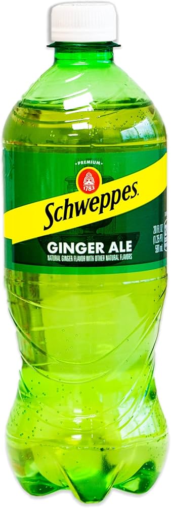 Schweppes - Ginger Ale - 24/20oz