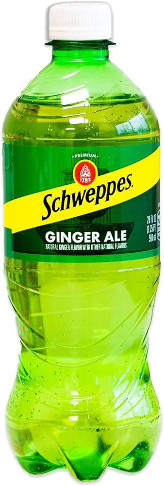 Schweppes - Ginger Ale - 24/20oz