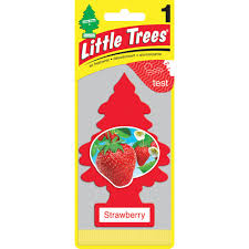 Little Trees - Large Strawberry Singles - 1/24pk