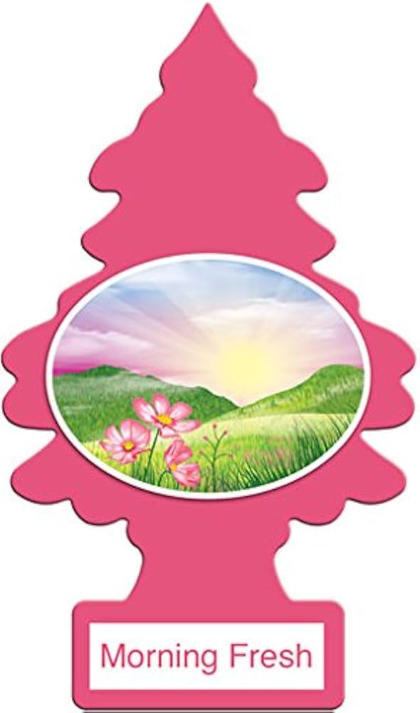 Little Trees - Car Fresheners Morning Fresh Singles - 1/24pk